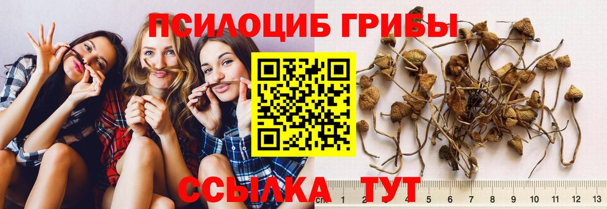 Галлюциногенные грибы мицелий  Вход с VPN  Анапа  Псилоцибиновые грибы прущие грибы 